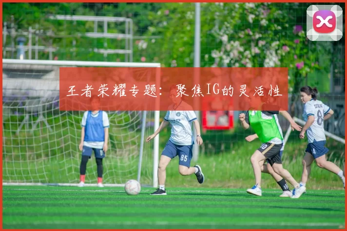 王者荣耀专题：聚焦IG的灵活性